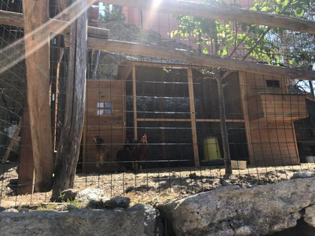 Appartamento Ulivo Finale Ligure Zewnętrze zdjęcie