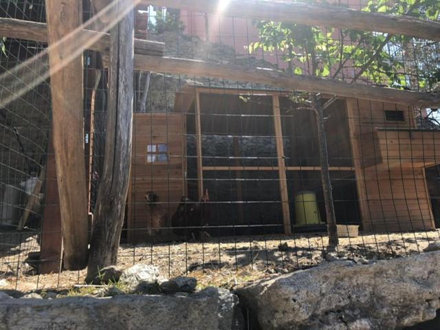 Appartamento Ulivo Finale Ligure Zewnętrze zdjęcie